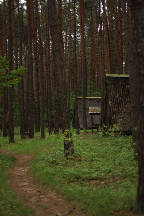 База відпочинку у сосновому лісі 50км від Львова