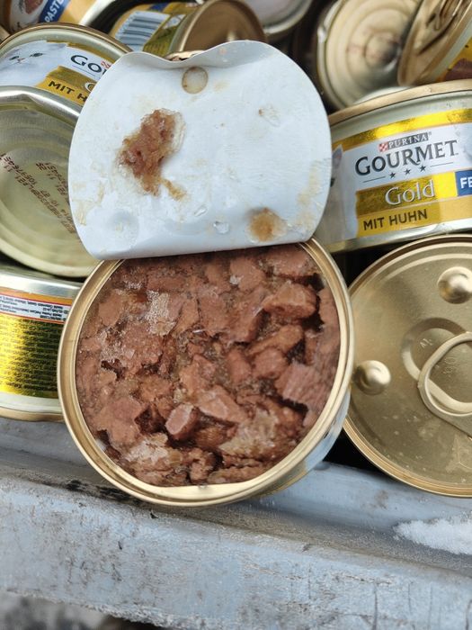 Gourmet Purina Gold 48x85 kawalki