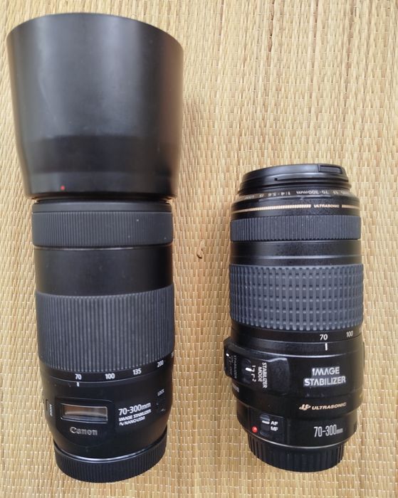 Canon 70-200, 24-70, 24-105, 70-300, 24mm