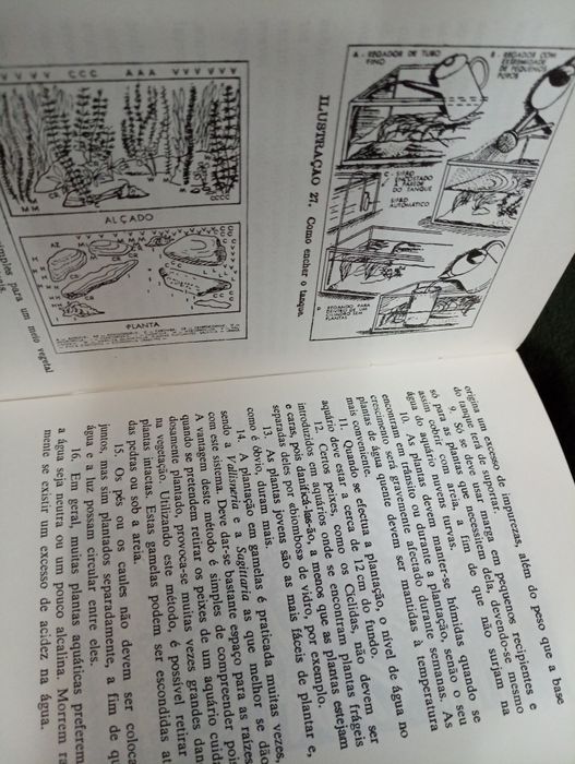Abc Do Aquário, de LATIMER-SAYER. (D.) 1976.