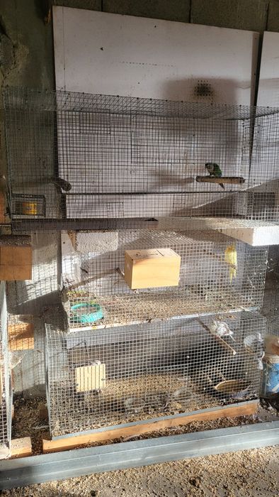 Vendo gaiolas a bom preço
