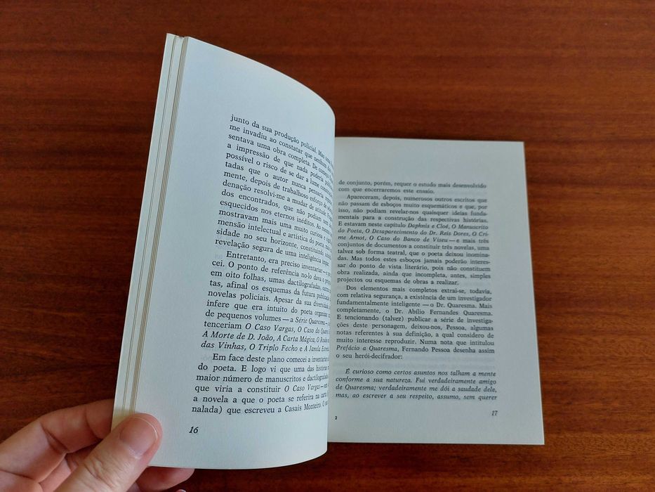 Discurso Irregular I: Novela em Fernando Pessoa - Fernando L. Soares