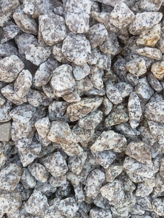 Grys granitowy dalmatyńczyk 16-22mm