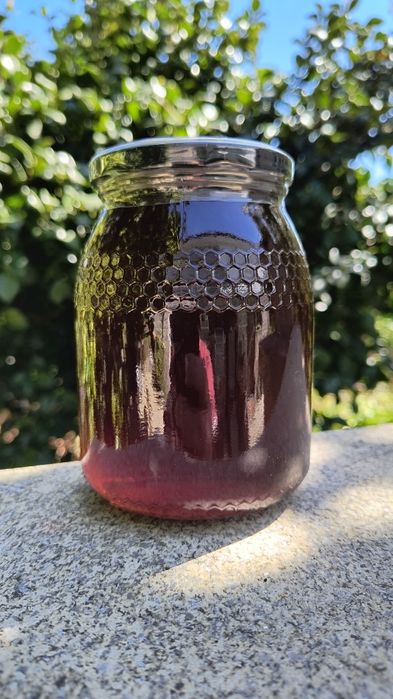 Mel puro do Apicultor