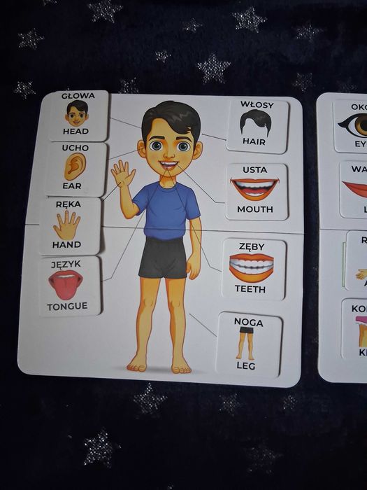 Układanka edukacyjna Body parts części ciała