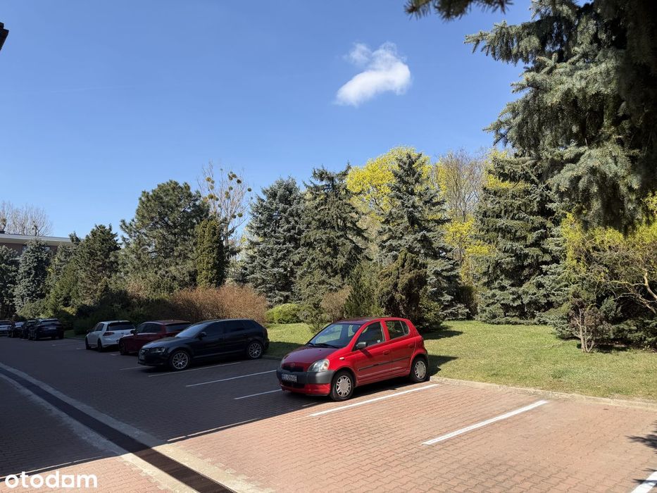 Luksusowy apartament dwupoziomowy z wielkim tarasem i Loggia