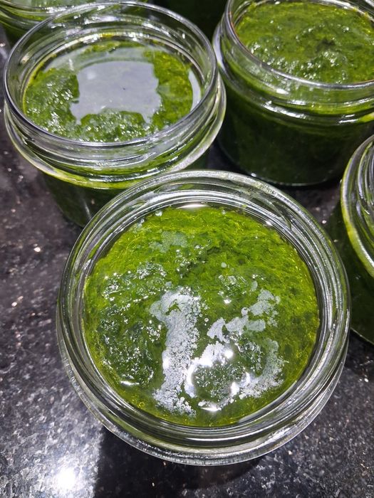 Czosnek niedźwiedzi pesto 3 sztuki