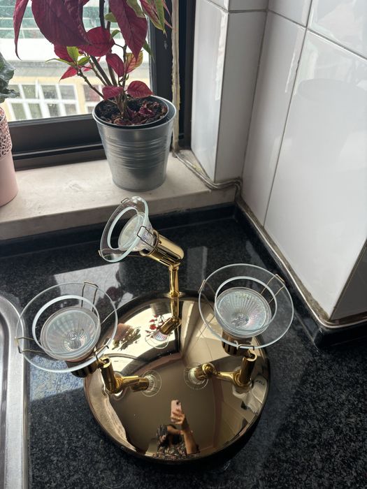 Triple-head lamp, includes bulbs