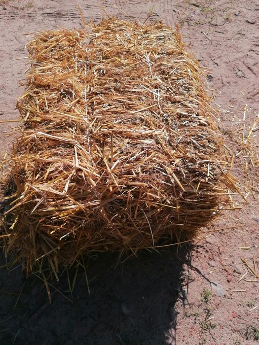 Słoma  kostka owsiana