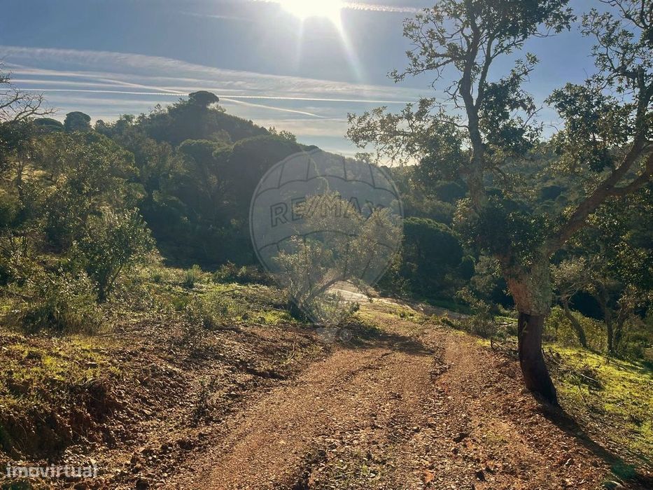 Terreno  para venda
