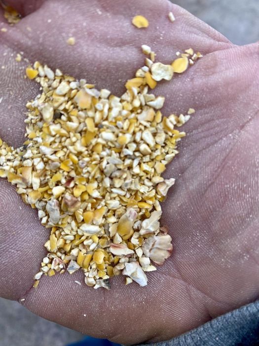 Отходи кукурудзи