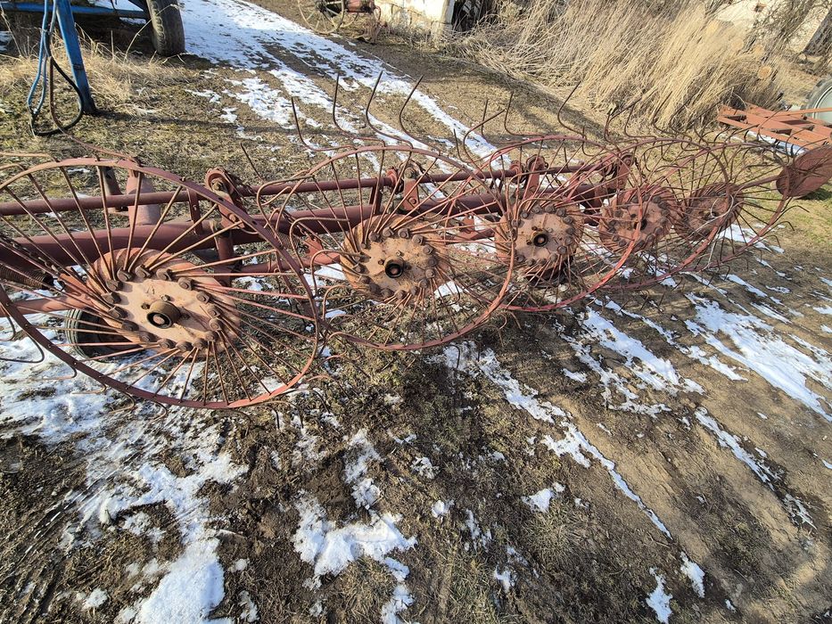 Gwiazdowa 5 do siana