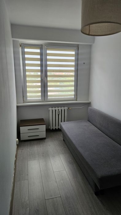 Zdjęcie 8