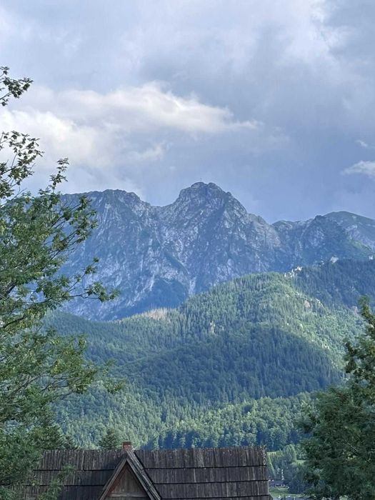 Działka na sprzedaż Kościelisko/Zakopane