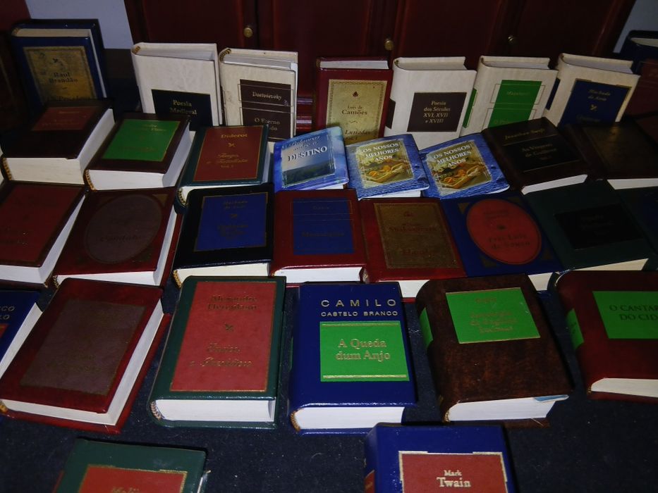 Ibiloteca com 50 livro minitura e movel