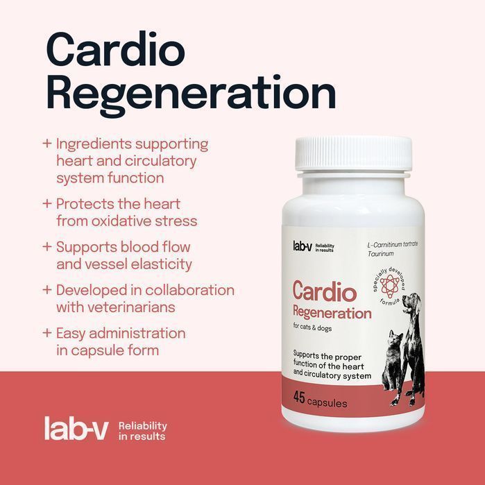 Suplement Dla Psów I Kotów Lab-v Cardio Regeneration Wsparcie Serca Układu Krążenia 45 Kapsułek Zoojoy