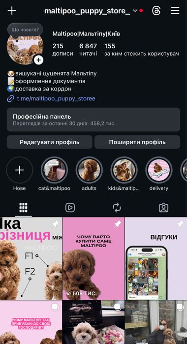 PREMIUM Мальтипу princess girl f1