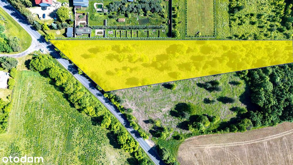 Działka rolno-bud. 9962 m², lub 4981 m2 za 220.000, JURA, Pomrożyce