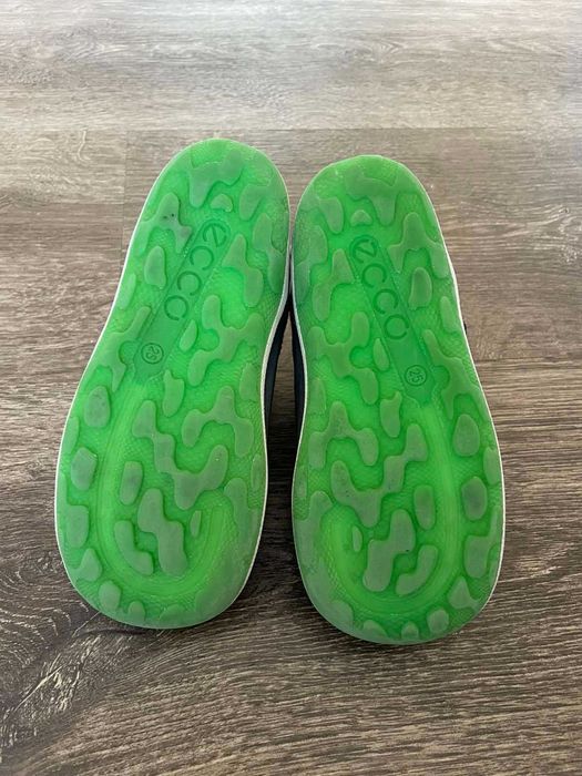 Черевики (ботинки) демісезонні Ecco Biom 25 для хлопчика 16 см устілка