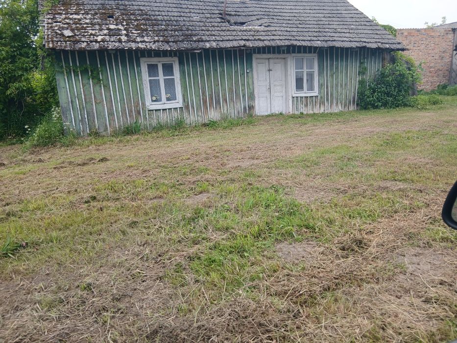 Zdjęcie 4
