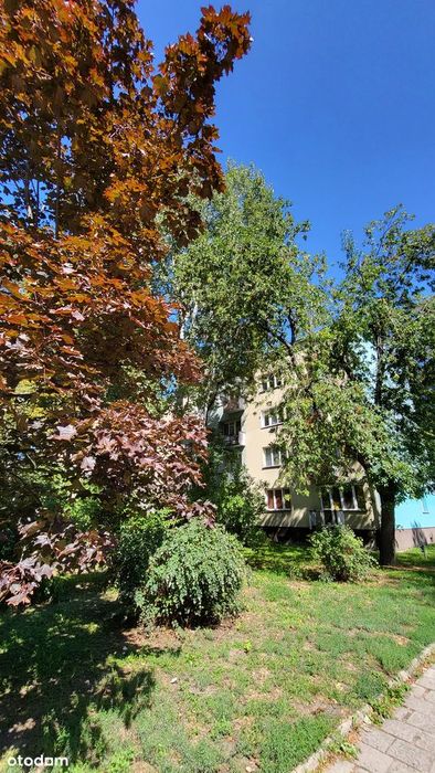 41 m² | 2 pokoje | 2. piętro | balkon | centrum | po remoncie