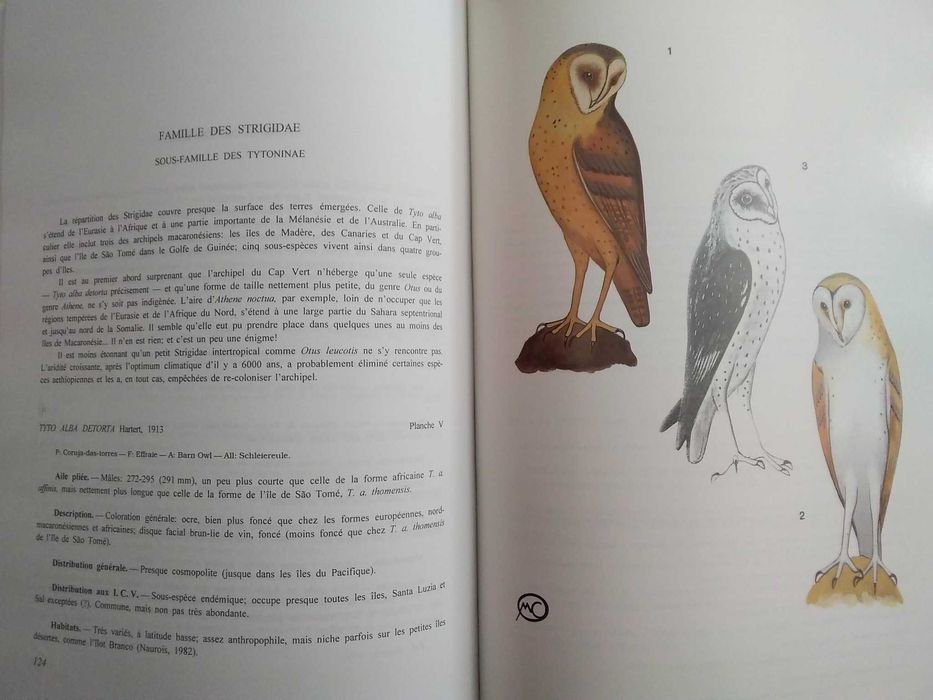 As Aves do Arquipélago de Cabo Verde
