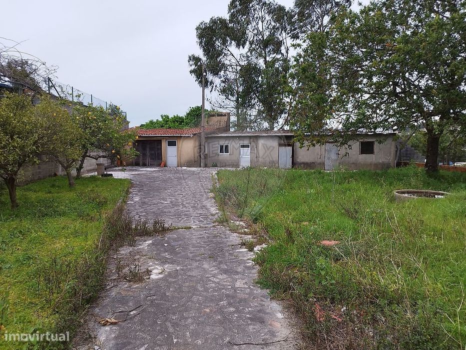 Terreno  para venda — Pinheiro Da Bemposta, Travanca E Palmaz, Aveiro