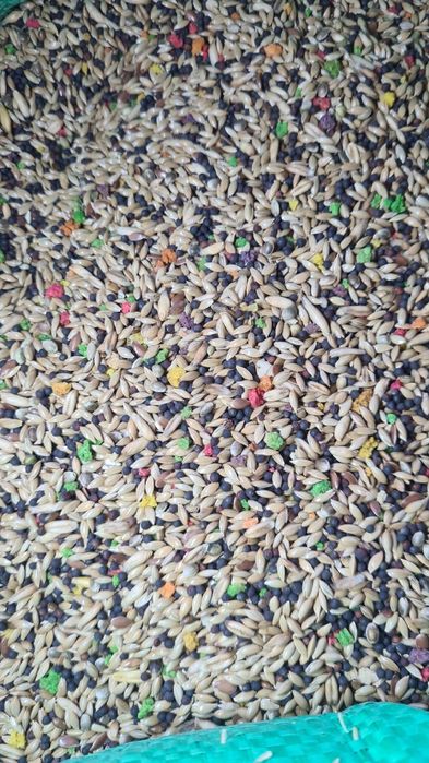 Mieszanka dla papug falistych, małych, kanarków i innych