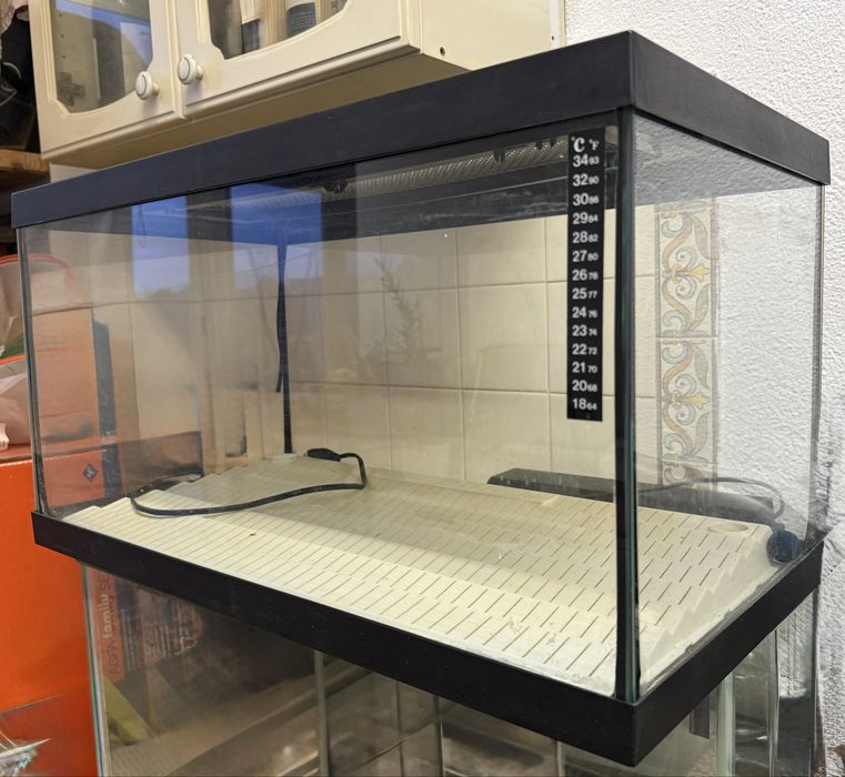 Aquário 70L Completo com Iluminação – Excelente Estado