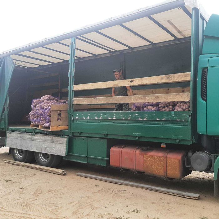 Рено Премиум 385.19