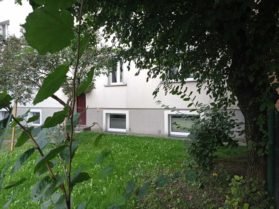 Zdjęcie 8