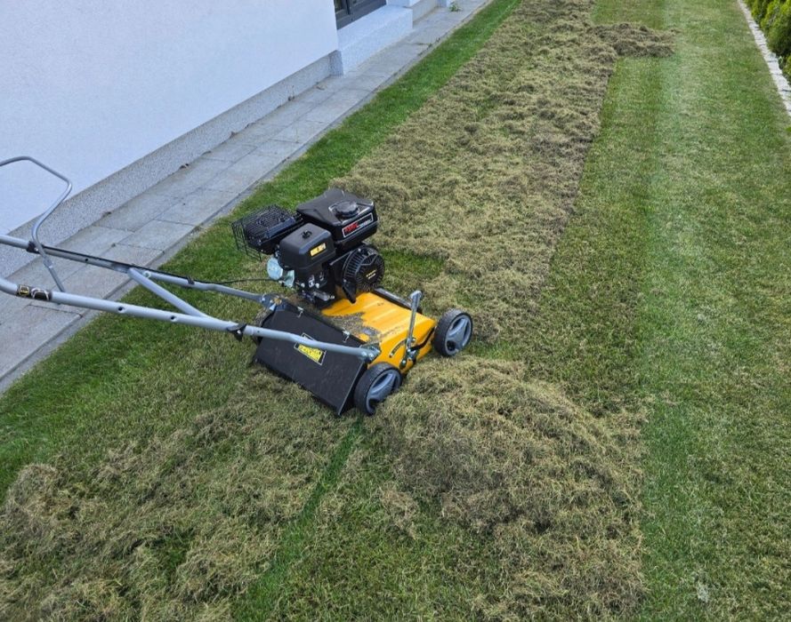 Wertykulator spalinowy doba 100 pln