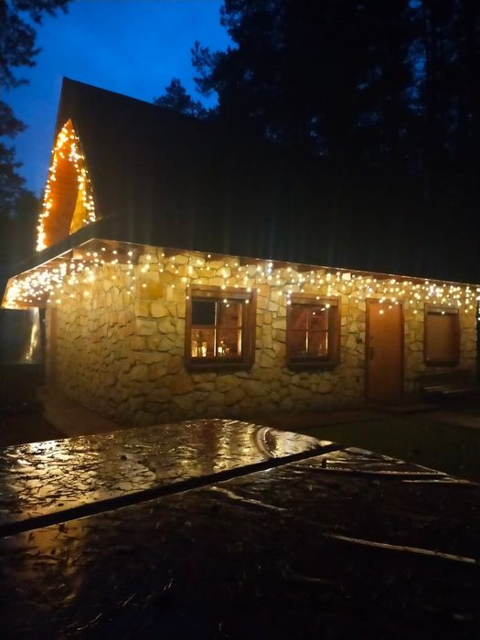 Domek letniskowy pod Sosnami nad Zalewem Ostrowy