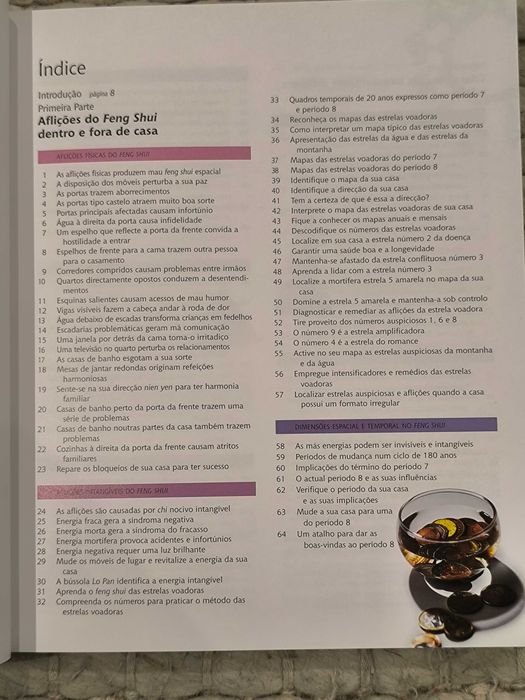 Feng Shui: 168 Maneiras para Uma Vida Tranquila e Feliz
de Lillian Too