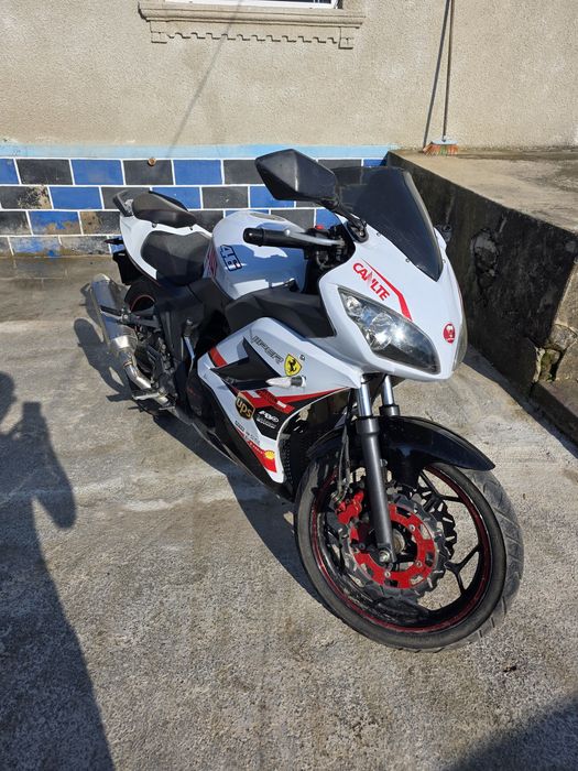 Viper V250 f2, 2021