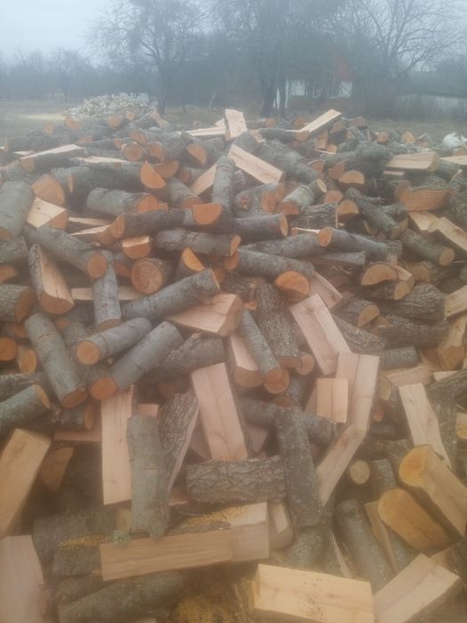 Купить дрова з доставкою різних порід