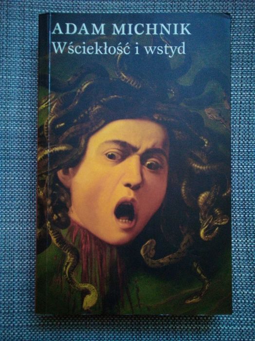 Wściekłość i wstyd , Adam Michnik