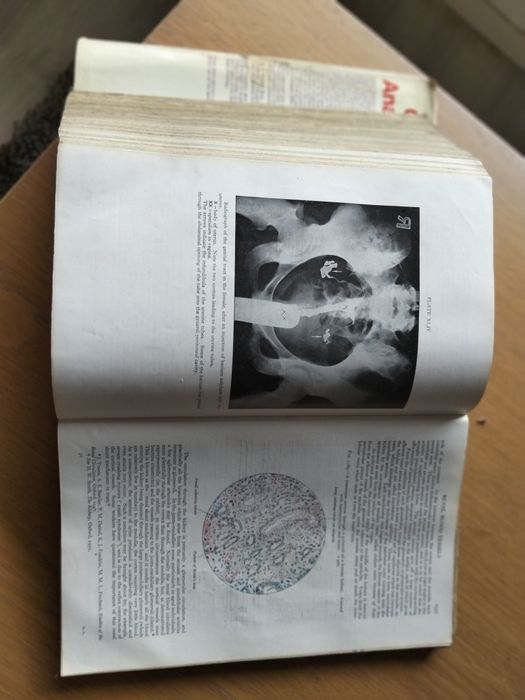 Gray’s Anatomy – 34ª Edição (Descriptive and Applied)

Vendo livro clássico de anatomia humana, Gray’s Anatomy, 34ª edição, editado por

Vendo livro c