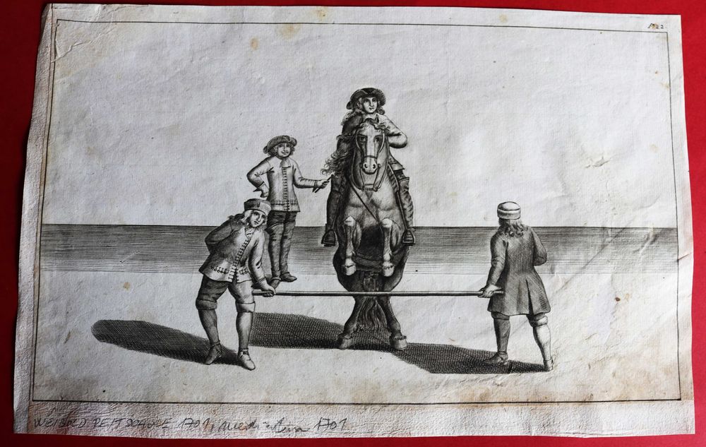 ARTE EQUESTRE treino de salto a cavalo gravura de 1701 rara