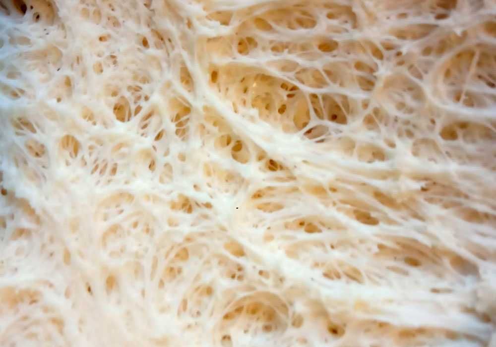 Закваска для хлеба/сдобы: сухие/живые: пшеничная, ржаная, Левито Мадре