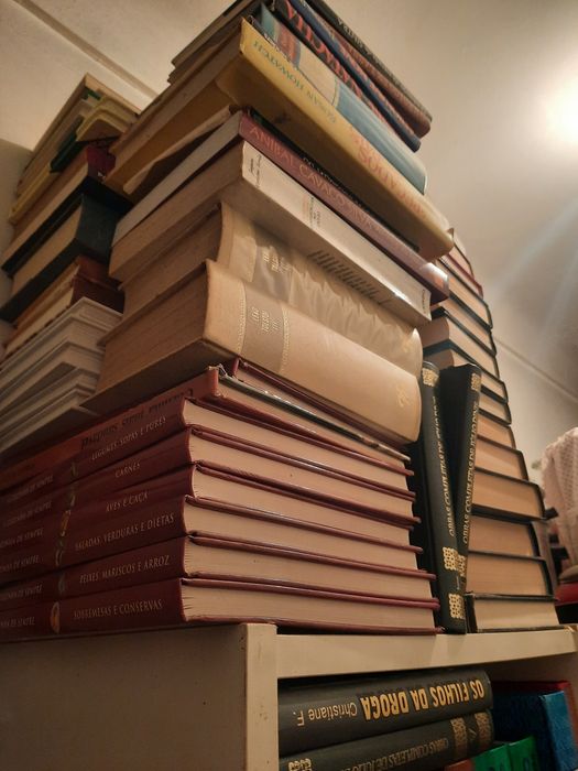 Lote de vários livros