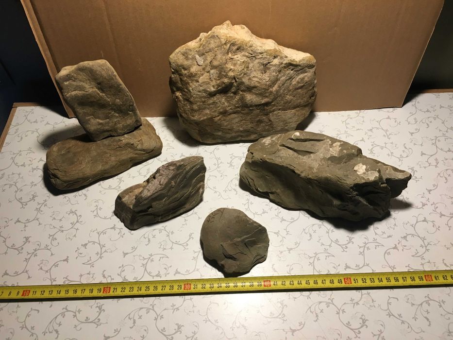 Зоотовари для дизайну тераріум