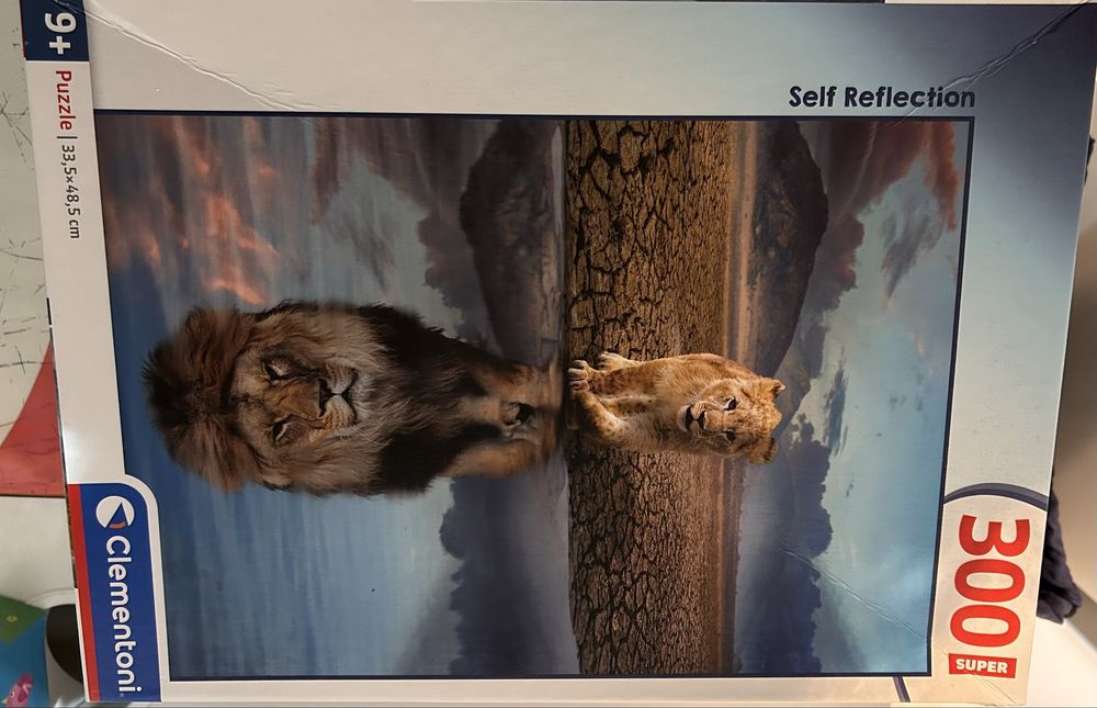 Puzzle clementoni self reflection