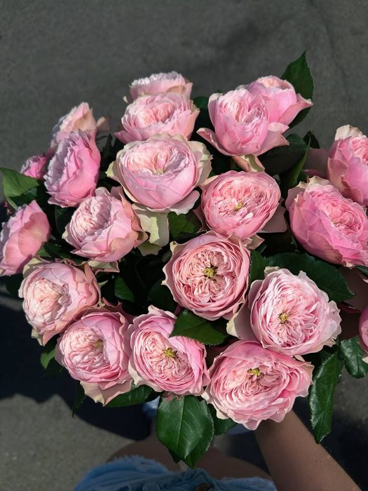 51, 101... Троянда гуртом (оптовые цены на букет с розы)