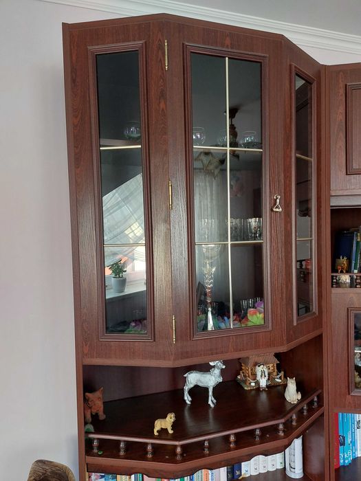 Meblościanka segment