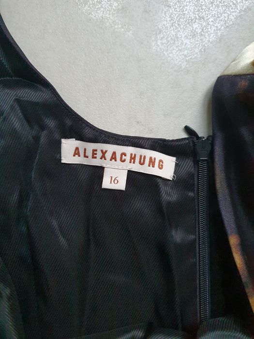 Przecudna sukienka Alexa Chung 16/44