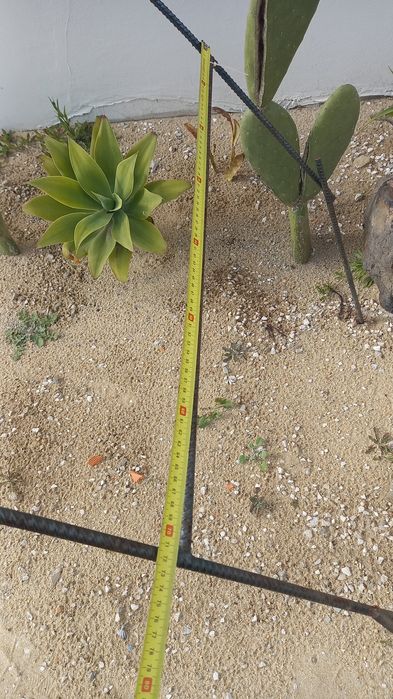 Arco para jardim / suporte trepadeiras