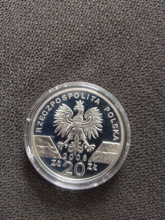 Moneta srebrna 20 zł sokół wędrowny