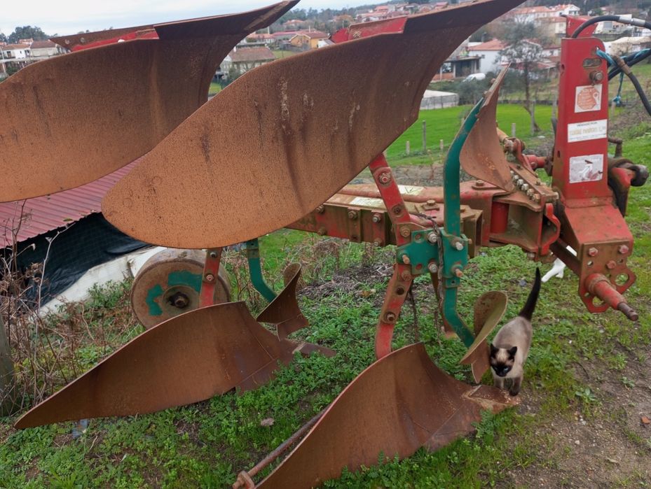 Charrua informações nas fotos