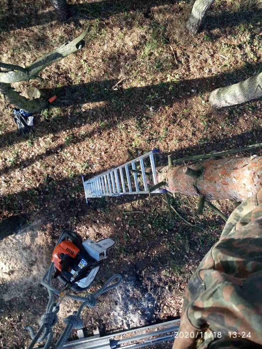 Чистка ділянок, благоустрій території, вивіз, подрібнення гілок